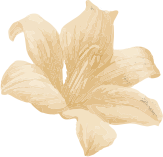 shape