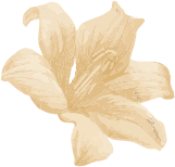 about-3-flower